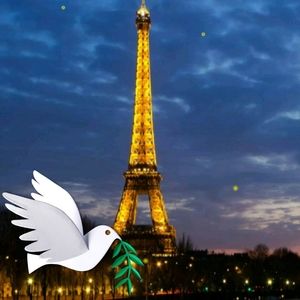 Meet your Posher, Leon teresa